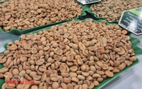 Giá cà phê hôm nay 3-2: Robusta giảm, Việt Nam xếp thứ 3 cung cấp cà phê cho Úc