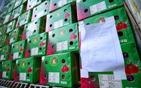 Đề nghị phối hợp cung cấp thông tin về hàng hóa tồn đọng