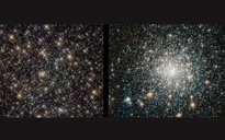 Phát hiện rùng mình về “sinh vật bất tử” của vũ trụ