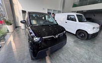 Ô tô điện phủ sóng thị trường