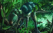 Lộ diện sinh vật lạ chứng minh khoa học "lạc đường"