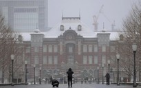 Nhật Bản bầu cử: Tuyết rơi trắng trời, Thủ tướng Sanae Takaichi di chuyển hơn 15.000 km