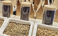 Giá cà phê hôm nay 9-2: Giá có tăng lại?