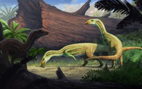 Phát hiện “cá sấu quái vật" bước đi bằng 2 chân