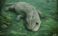 9 quái vật từ "lục địa đã mất" gây sốc cho giới khoa học