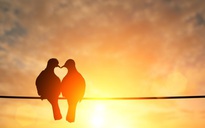 Top 4 con giáp đào hoa nhất năm 2026