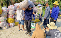 Tăng cường thu mua, tạm trữ lúa gạo