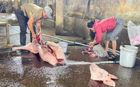 Quảng Trị phạt lò mổ gần 250 triệu đồng vì xả thải vượt chuẩn gấp 40 lần