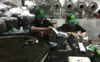 Một lần tới thăm bảo tàng trà ở phố ngàn hoa