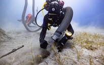 Đắm vì quá tải báu vật, “tàu ma” Mentor nổi tiếng để lộ thứ đáng chú ý