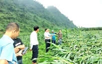 Trận lốc xoáy kinh hoàng vừa xảy ra ở Quảng Trị