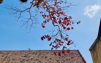 Hình ảnh Côn Đảo vào "mùa đẹp nhất năm"