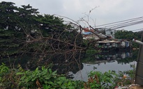 Nguy hiểm