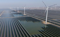 Cú sốc năng lượng và lời cảnh tỉnh toàn cầu