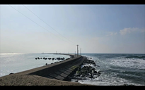 8 người Việt gặp nạn tại Nhật Bản, 1 người tử vong, 3 người mất tích