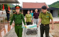 Thấy con trăn trong vườn nhà, người dân vội báo công an