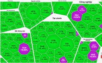 VN-Index phục hồi gần 24 điểm, cổ phiếu ngân hàng, bất động sản dẫn sóng