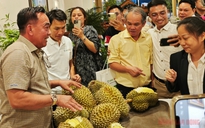Công ty của bầu Đức tính trồng thêm 700 ha sầu riêng