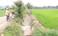 Nông dân Đà Nẵng "méo mặt" vì mặn đến sớm, kêu gọi thủy điện xả nước