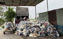 Cựu Phó cục trưởng Hải quan nhận hối lộ 800 triệu đồng giúp doanh nghiệp làm hàng giả thông quan