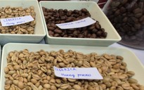Giá cà phê hôm nay 7-3: Tăng tiếp, một loại cà phê đang được yêu thích vào vụ