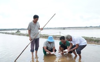 Thiệt hại nặng nề vì mưa trái mùa