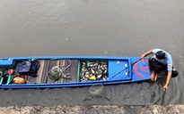 Bắt cá bằng kích điện, thanh niên ở TPHCM bị xử lý