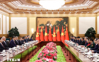 Tổng Bí thư, Chủ tịch nước Tô Lâm hội đàm với Tổng Bí thư, Chủ tịch Trung Quốc Tập Cận Bình