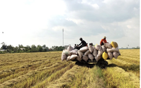 Giá xăng dầu điều chỉnh nhưng nhiều dịch vụ lại không giảm tương ứng