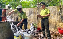 Kiểm lâm Thanh Hóa xử lý cây muội hồng thu giữ như thế nào?