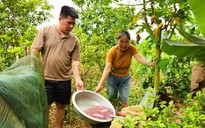 Tìm ra nguyên nhân vụ nước giếng khoan đổi màu tím bất thường