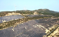 Gia Lai chấp thuận nhà đầu tư thực hiện 4 dự án điện gió, điện mặt trời 