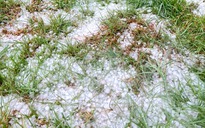 Mưa đá liên tục 4 ngày ở phía Tây Quảng Ngãi