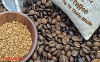 Giá cà phê hôm nay 19-4: Arabica đối mặt áp lực lớn