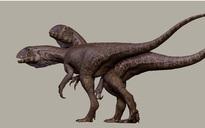 Quái vật 201 triệu tuổi "trỗi dậy" từ mỏ đá ở Mỹ