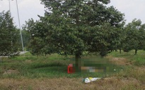 Điều tra vụ người đàn ông tử vong cạnh khẩu súng trong vườn sầu riêng