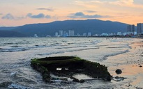 Cận cảnh "vật lạ" trồi lên trên bờ biển Quy Nhơn