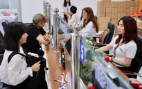 Doanh nghiệp nợ BHXH: Chốt sổ thế nào để không “trắng tay”?