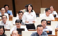 Đại biểu Quốc hội lo ngại khi thiết chế văn hóa ở cơ sở bị thu hẹp