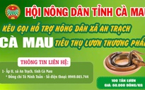 Cà Mau kêu gọi "giải cứu" lươn với giá 60.000 đồng/kg