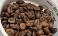 Giá cà phê hôm nay 24-4: Đồng loạt tăng 3 con số
