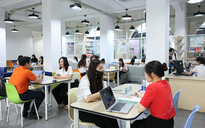 840.000 người chết mỗi năm vì áp lực công việc