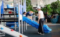 Quyết định cân não của lao động trẻ