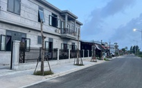 Hàng loạt cây xanh "chết đứng" ở khu đô thị mới vùng biển