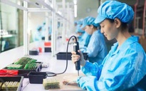 Loạt doanh nghiệp đưa lao động đi nước ngoài làm việc bị xử phạt