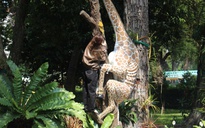 Trào lưu leo tượng chụp ảnh sống ảo: Thảo Cầm Viên Sài Gòn lên tiếng