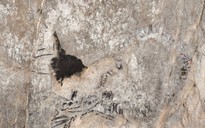 Thủy quái 145 triệu tuổi chưa rõ loài gì "trỗi dậy" ở Cuba