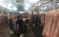 Giá heo hơi hôm nay, 7-4: Sức mua yếu, giá vẫn tăng