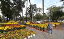 TPHCM: Khẩn trương rà soát quỹ đất phát triển công viên, cây xanh