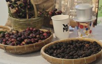 Giá cà phê hôm nay 7-4: Arabica tăng giá, 20% vùng trồng có nguy cơ không phù hợp